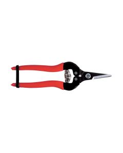 ARS Fruitschaar 17cm, recht, rood