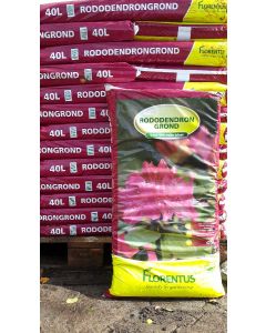 Rhododendron-grond